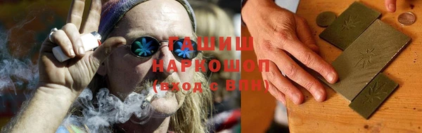 гашик Алексин