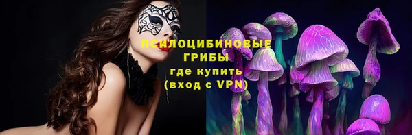 стаф Пересвет