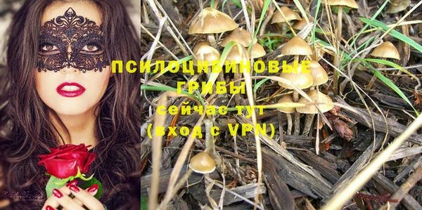 PSILOCYBIN Алексеевка
