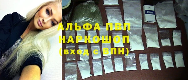 стаф Пересвет