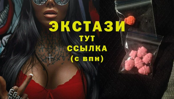 гашик Алексин