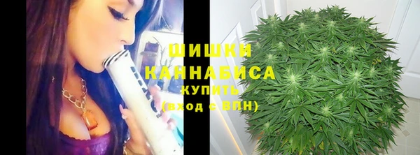 PSILOCYBIN Алексеевка